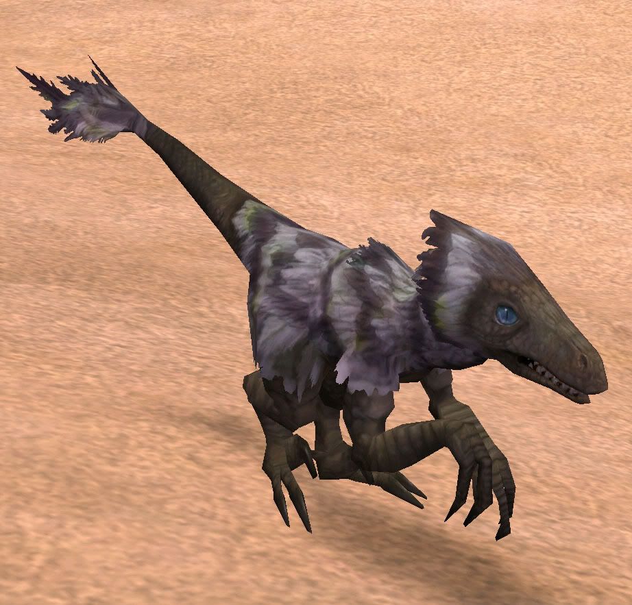 velociraptor female