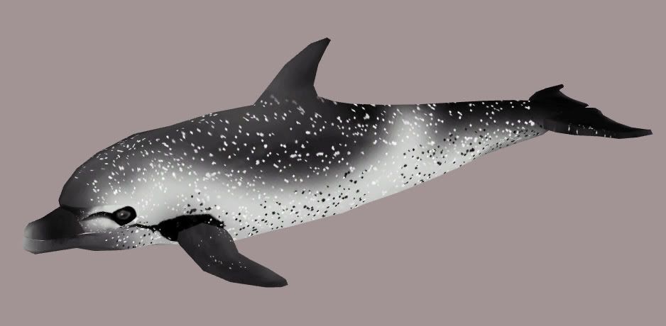 Pantropical Spotted Dolphin Mika's ZT2 Skins