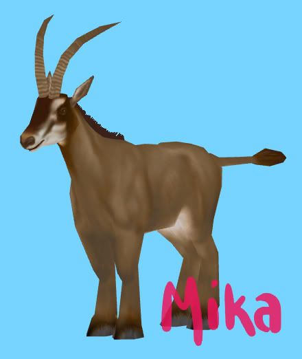 ugg mika antelope