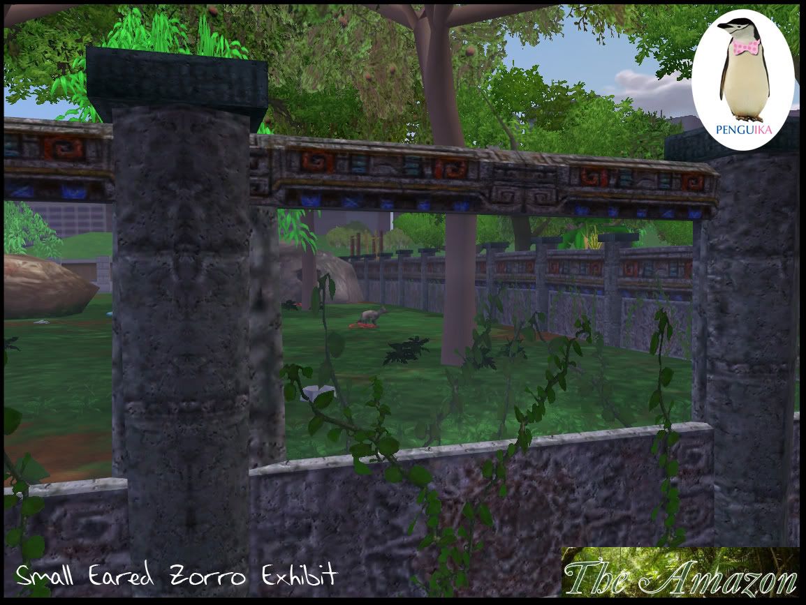 SmallEared Zorro Penguika