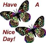 have a nice day butterflies