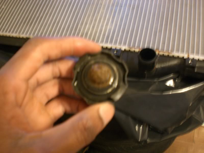 swollen radiator hose The Acura Legend & Acura RL Forum