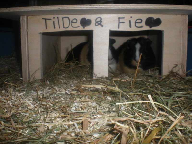 Billede