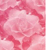 roses.gif roses image by solange_vanessa