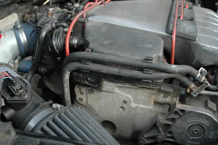 i smell coolant VW Vortex Volkswagen Forum