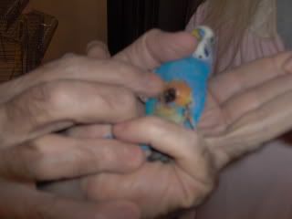 Picture115.jpg