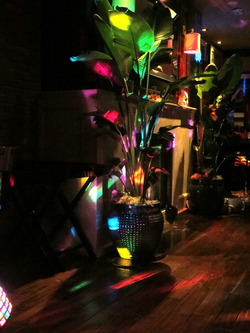  photo IMG_2206_zpsfeae5b6e.jpg