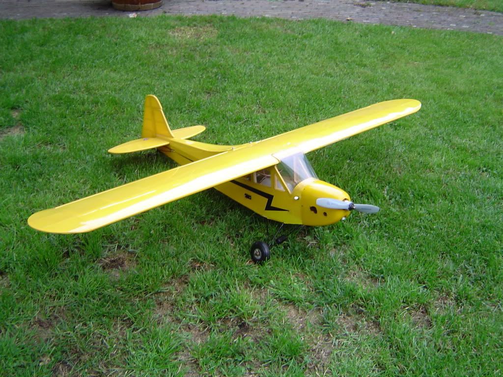 piper-1.jpg
