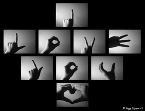 Imagen