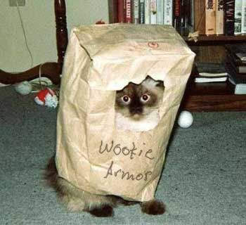 http://i45.photobucket.com/albums/f56/OwlsRule666/wookiearmourjr1.jpg
