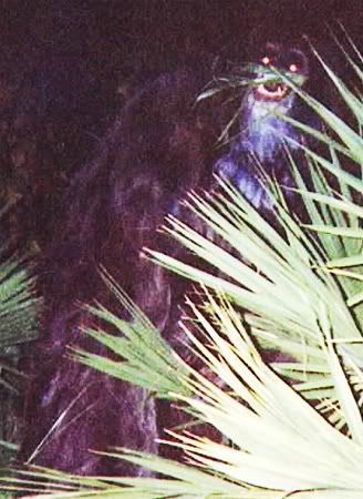 skunk_ape.jpg