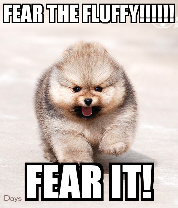 photo fear-the-fluffy-fear-it_zps9diputep.png