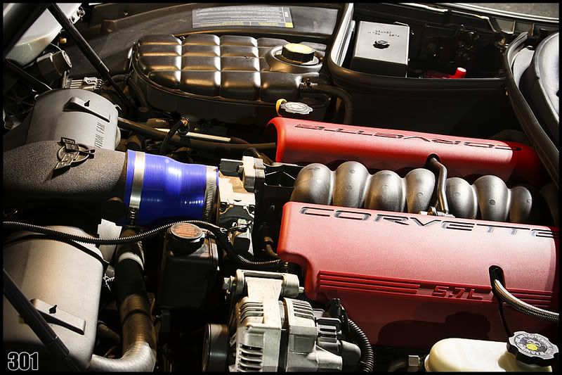 IMAGE: http://i45.photobucket.com/albums/f59/vegasboy301/rey%20z06/rey6.jpg