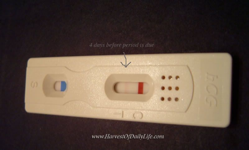 pregnancy test results. the positive test results