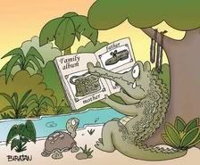 crocodiles Pictures, Images and Photos