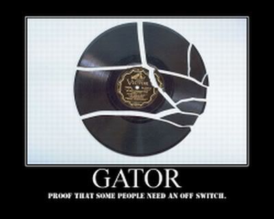 gator1 Pictures, Images and Photos