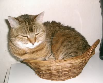 Testbilder032.jpg