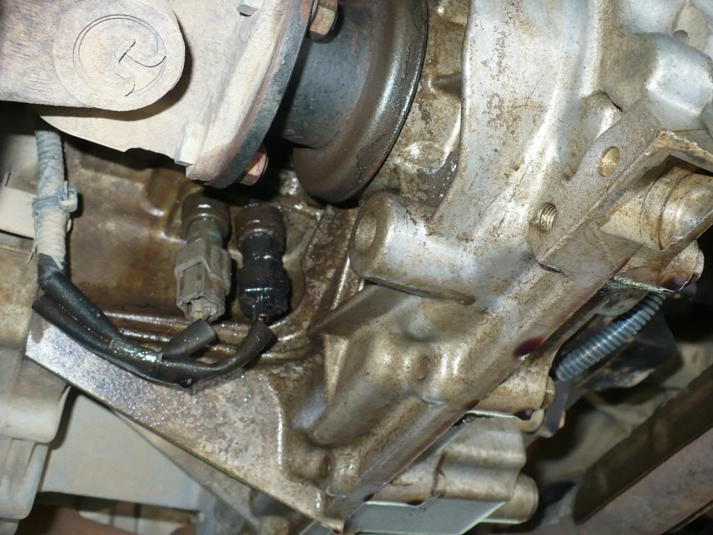 Tcase leak??? Second Generation Nissan Xterra Forums