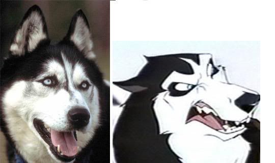 Balto Husky