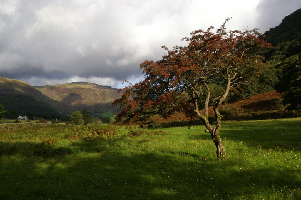 A bright morning in Borrowdale Pictures, Images and Photos