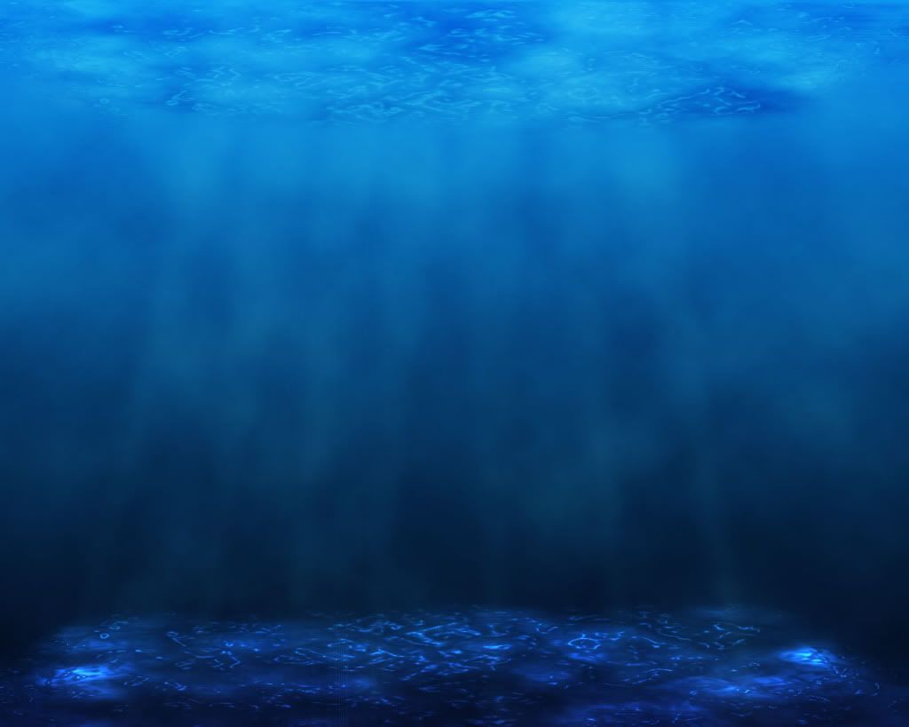 kamera underwater 2015