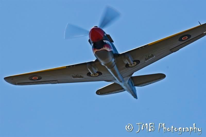 IMAGE: http://i45.photobucket.com/albums/f67/wardie_j/Temora/_MG_7630.jpg