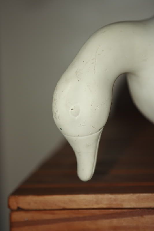 IMAGE: http://i45.photobucket.com/albums/f67/wardie_j/Temp/_MG_3538.jpg