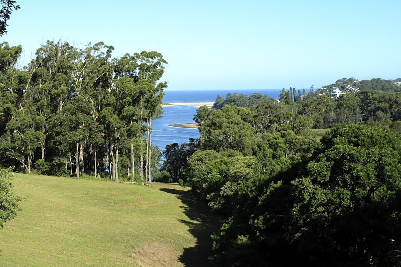 IMAGE: http://i45.photobucket.com/albums/f67/wardie_j/Temp/_MG_3552.jpg