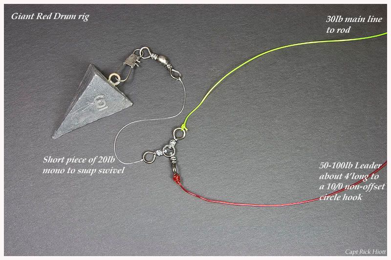 A couple of rigs and comments for Red Drum (Pic's)