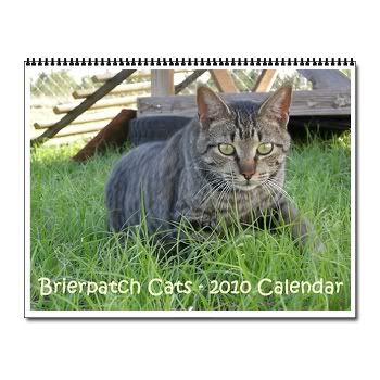 Buy a Brierpatch Cats Calendar!