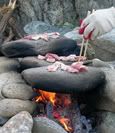 Barbecue on the Rocks