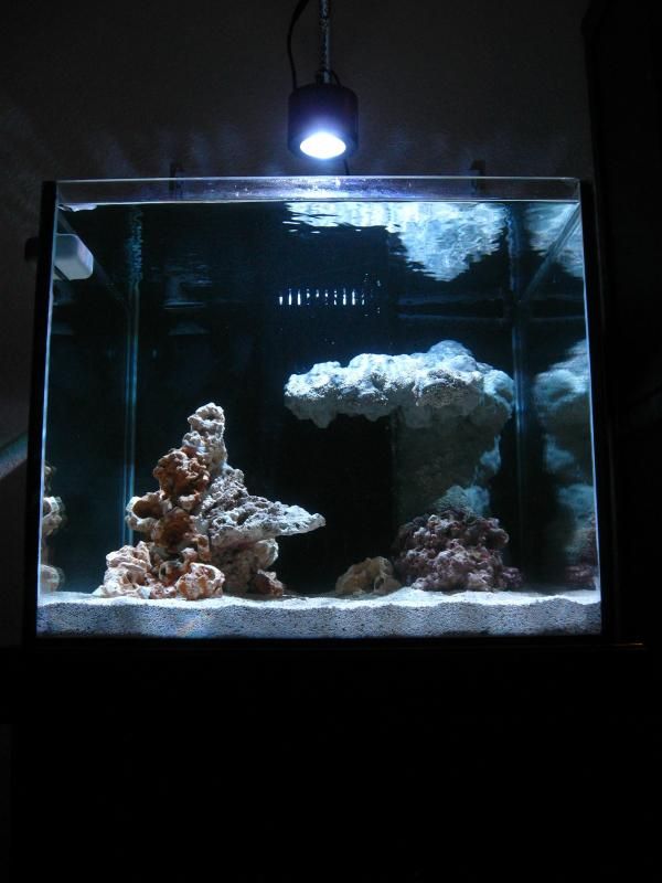 DIY foam rock wall REEF2REEF Saltwater and Reef Aquarium Forum