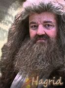 Hagrid Avatar