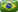 bra.png