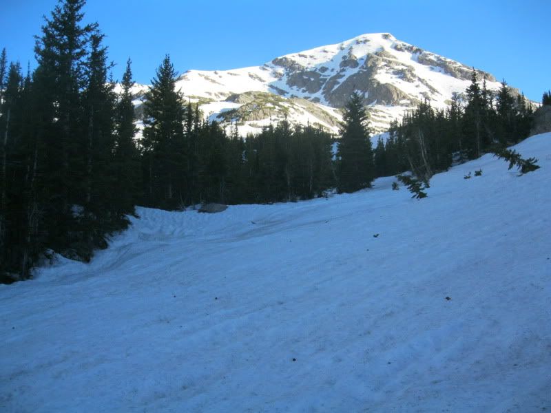 IMG_4195.jpg