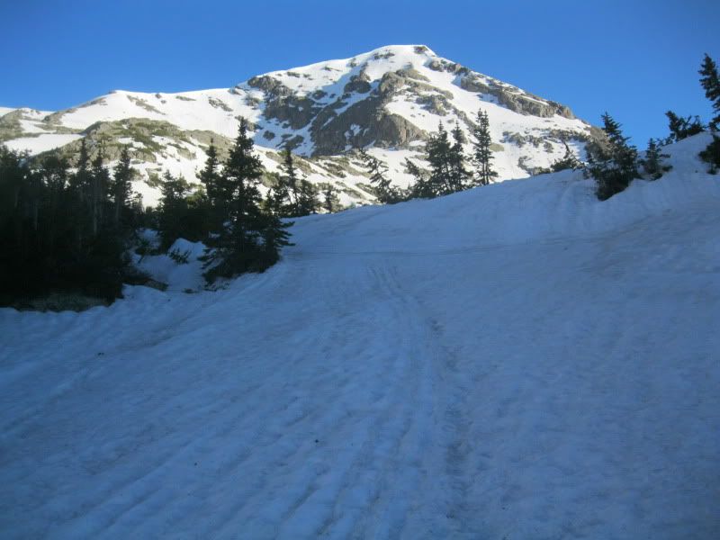 IMG_4197.jpg