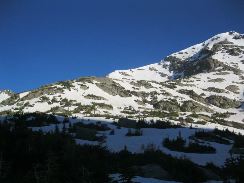 IMG_4200.jpg