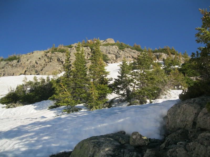 IMG_4204.jpg