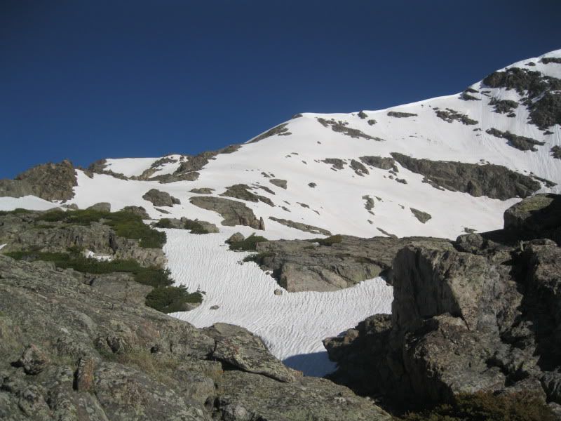 IMG_4208.jpg