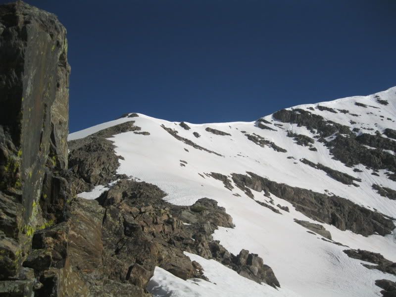 IMG_4217.jpg