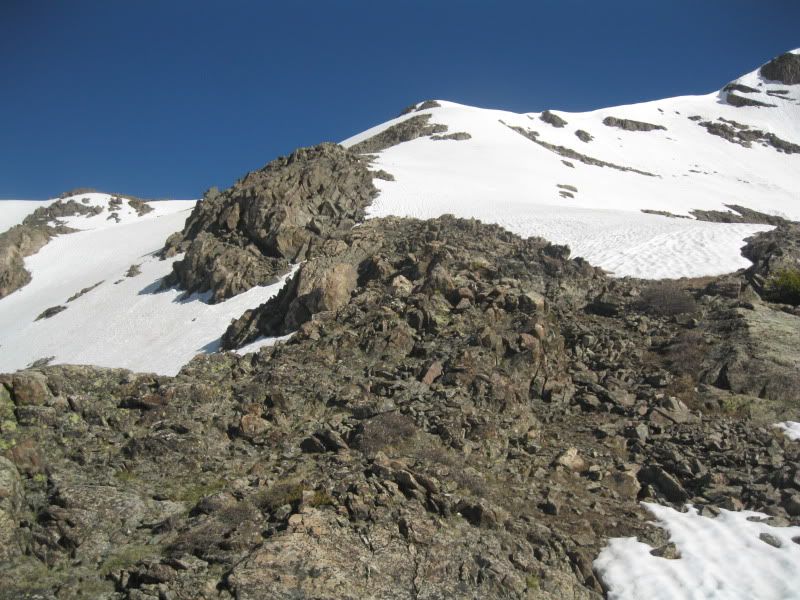 IMG_4219.jpg