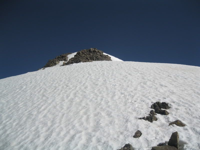 IMG_4223.jpg