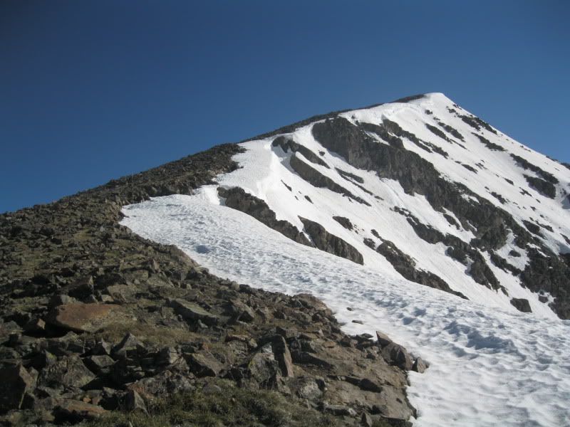 IMG_4225.jpg