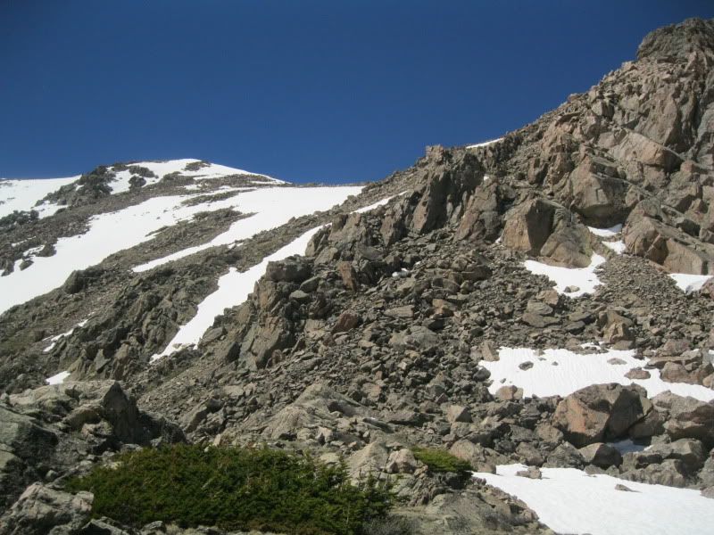 IMG_4378.jpg