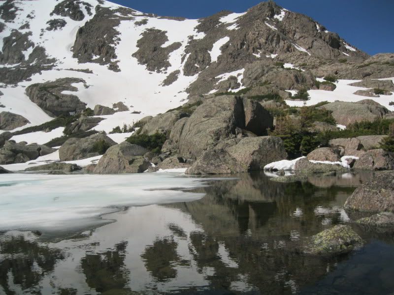 IMG_4384.jpg