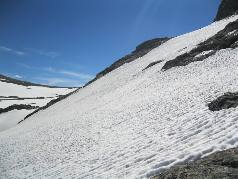 IMG_4408.jpg