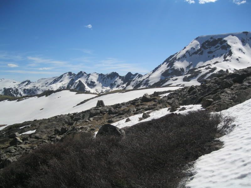 IMG_4418.jpg