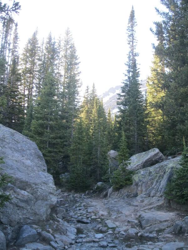 IMG_4476.jpg