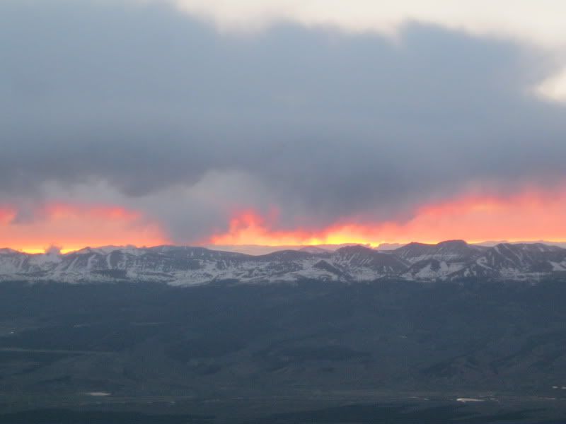 IMG_3775.jpg