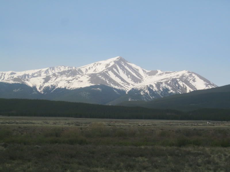 IMG_3904.jpg